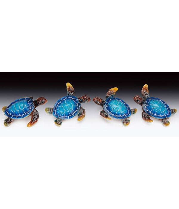 Blue Sea Turtle/ 12PC Assorted