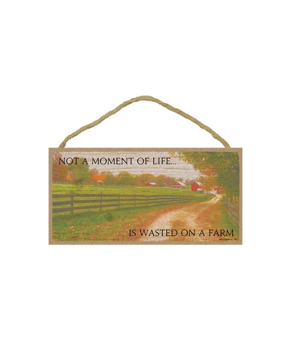 not a moment of life is wasted-5x10 Wooden Sign
