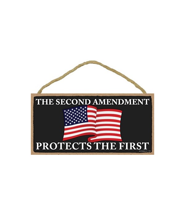 2nd Amendment-Protects the 1st 5x10