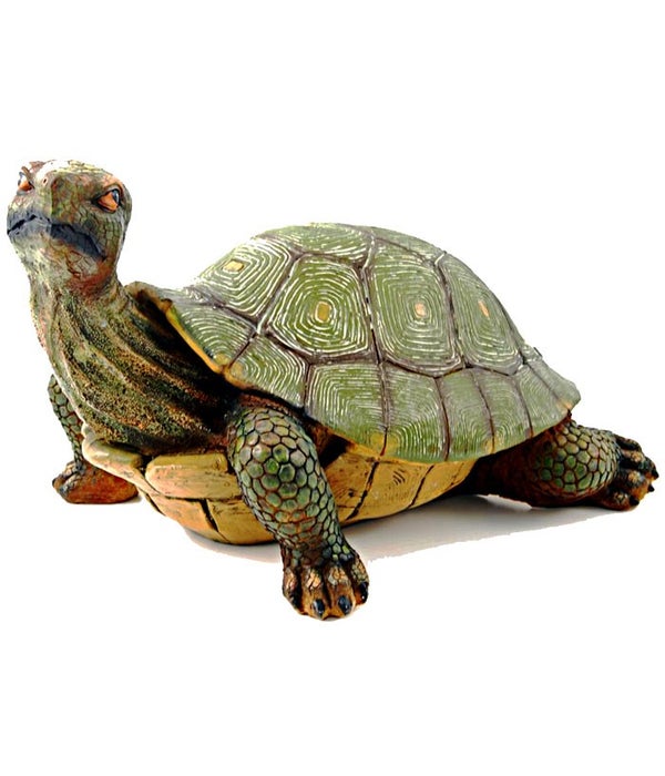 L17" Slow and Steady (Turtle) 1PC