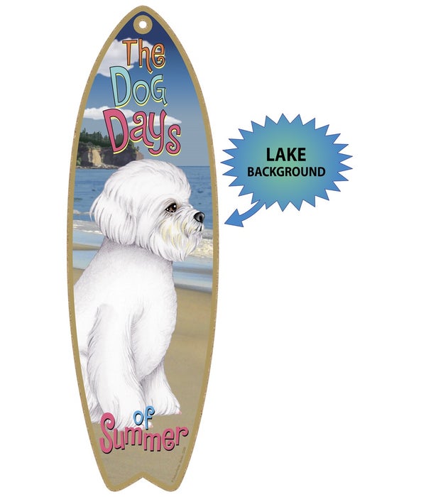 Surfboard with Lake bkgd -  Bichon