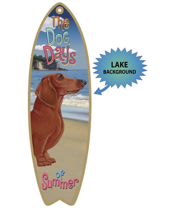 Surfboard with Lake bkgd -  Dachshund (R