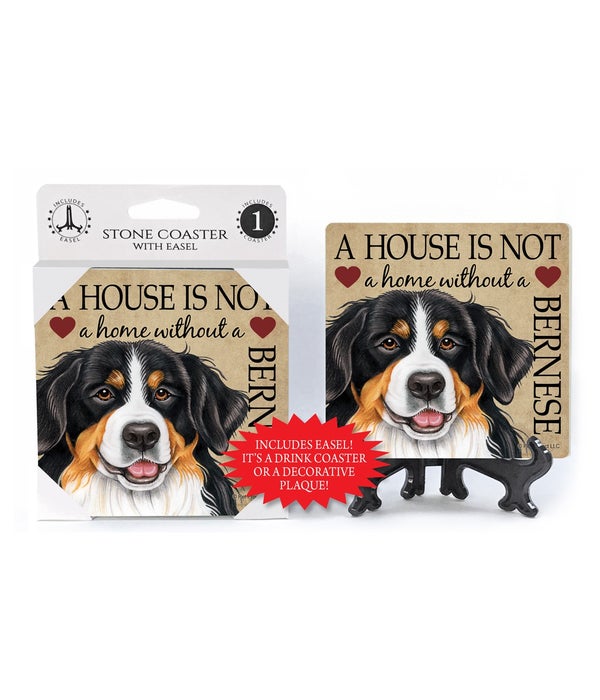 A house is not a home without a Bernese