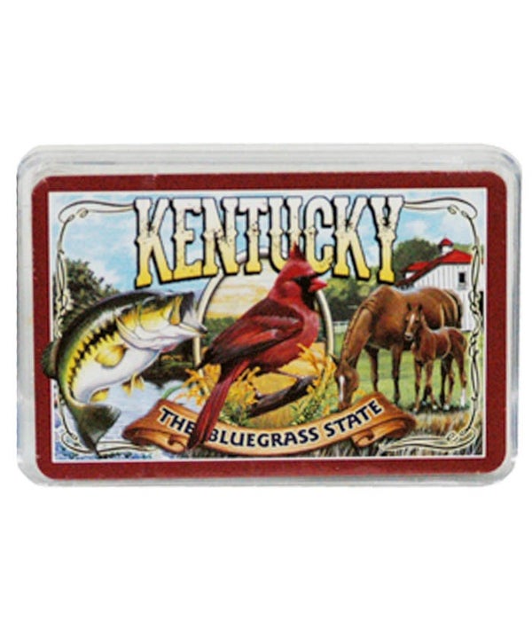 KY Playing Cards Mural 24DP