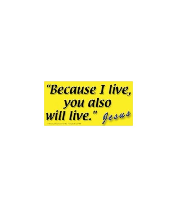 Because I live, you also will live. Jesus-4x8 Car Magnet