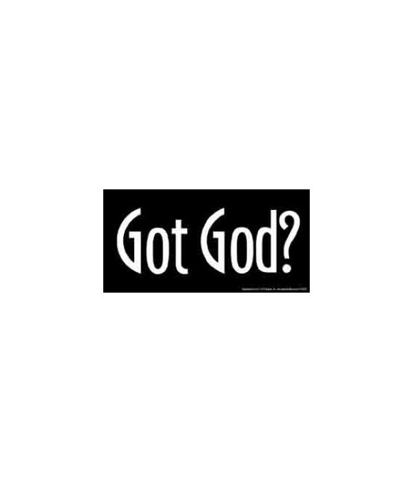 Got God?-4x8 Car Magnet