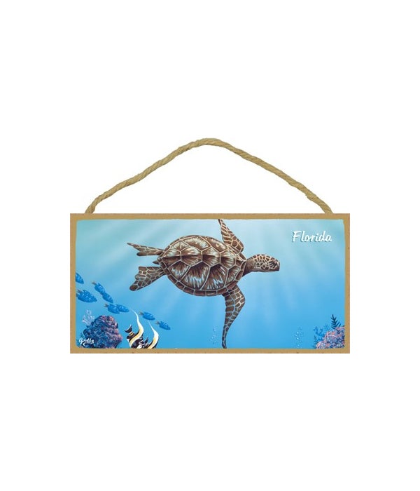Apollo - Large sea turtle swimming to th