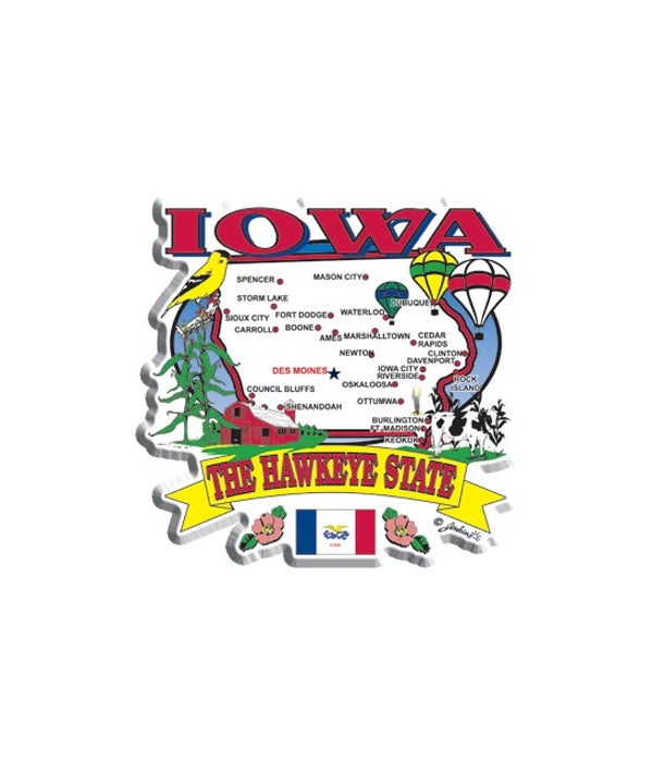 Iowa Magnet 2D State Map
