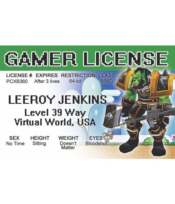 Video Gamer License