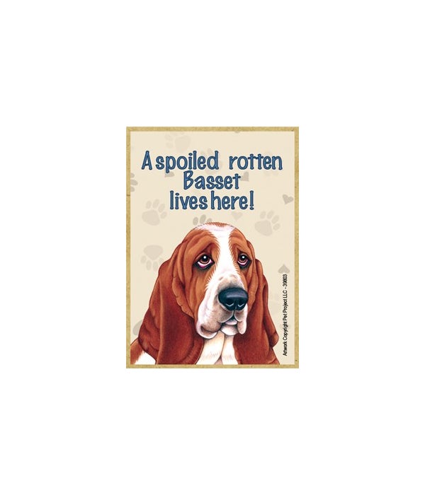 A spoiled rotten Basset  lives here!-Wooden Magnet
