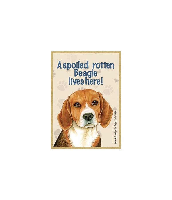 A spoiled rotten Beagle lives here!-Wooden Magnet