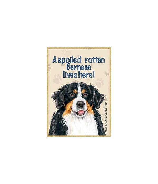 A spoiled rotten Bernese lives here!-Wooden Magnet