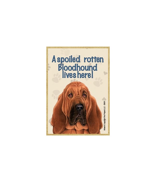 A spoiled rotten Bloodhound lives here!-Wooden Magnet