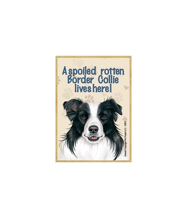 A spoiled rotten Border Collie lives her