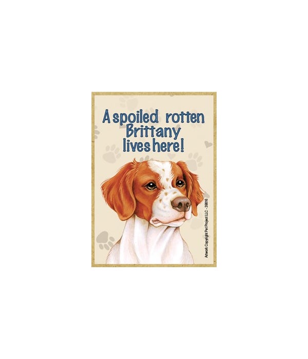 A spoiled rotten Brittany lives here!-Wooden Magnet