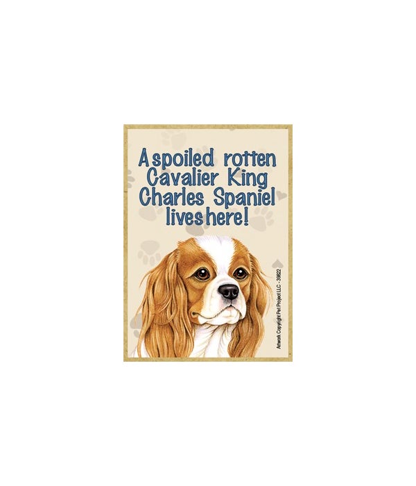 A spoiled rotten Cavalier King Charles Spaniel lives here!-Wooden Magnet