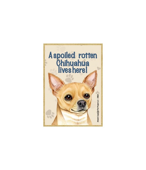 A spoiled rotten Chihuahua lives here!-Wooden Magnet