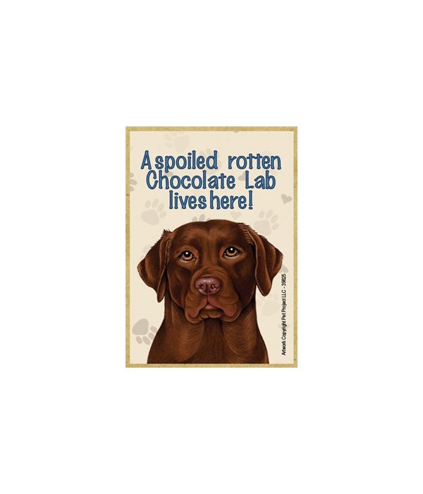 A spoiled rotten Chocolate Lab lives here!-Wooden Magnet