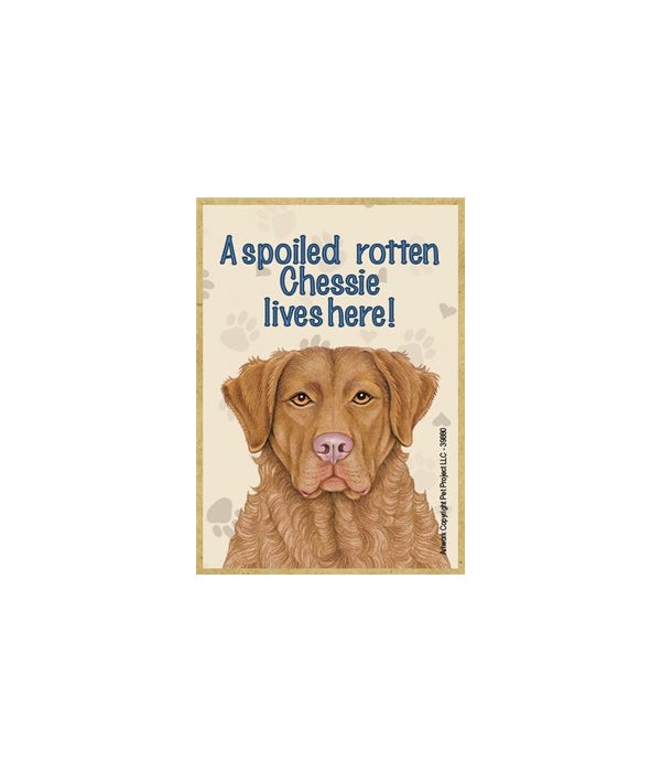 A spoiled rotten Chesapeake Bay Retriever lives here!-Wooden Magnet