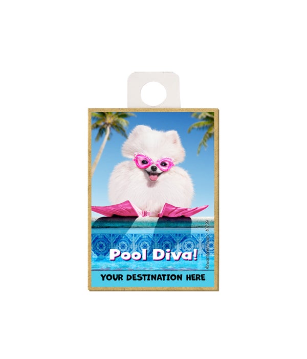 Small white Pomeranian w/swim goggles on - "Pool Diva" Magnet