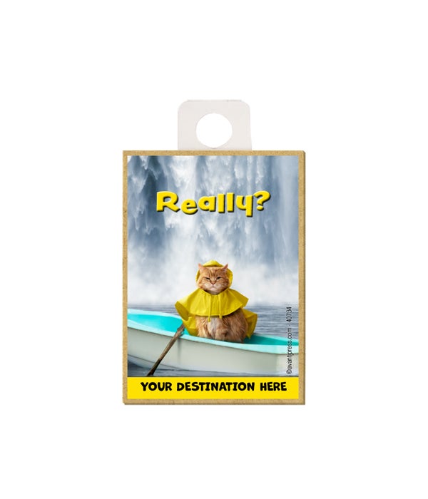 Cat wearing a raincoat sitting in a row boat in front of a waterfall - "Really?" Magnet