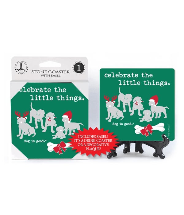 Celebrate the little things (5 dogs and