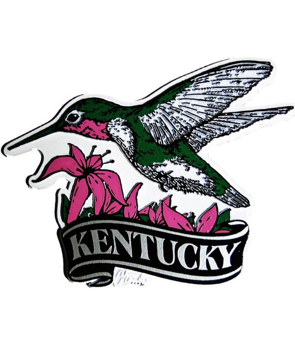 Kentucky Hummingbird banner magnet