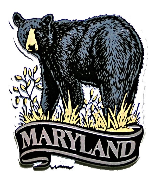 *Maryland bear banner magnet
