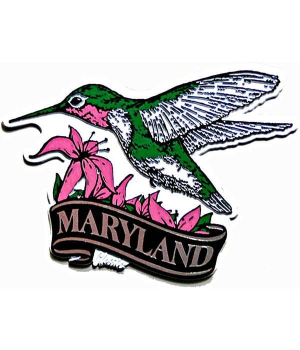 Maryland Hummingbird banner magnet