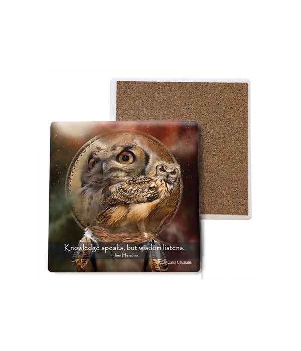 Owl  Owl Shield Bulk Coaster