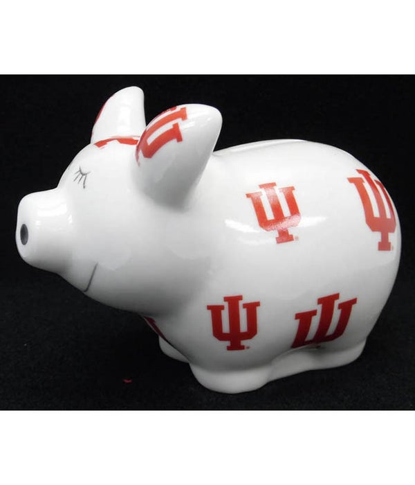 IN-U Bank Piggy Logo All Over