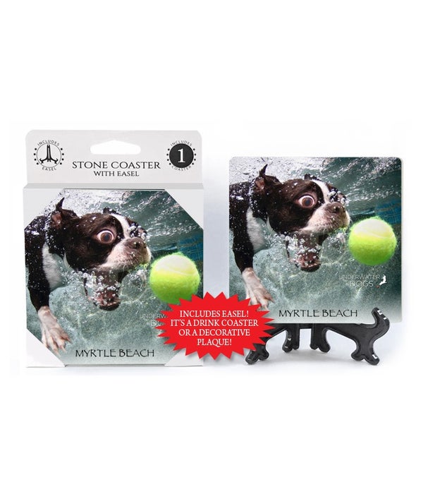 Boston Terrier biting at tennis ball-1 pack stone coaster