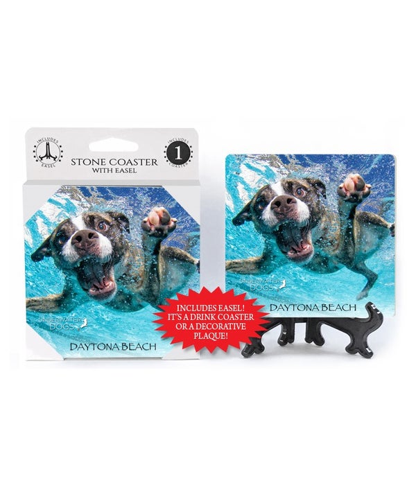 Boxer Mix, mouth open, paw in forefront-1 pack stone coaster