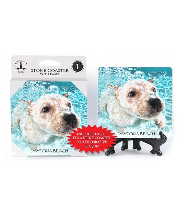 Cattle Dog Mix close up of face, swimming -1 pack stone coaster