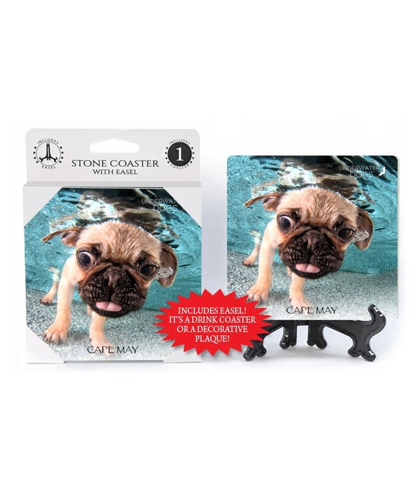 Pug with tongue slightly out-1 pack stone coaster