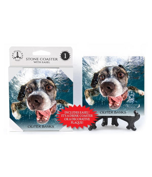 Boxer Mix, mouth open, close up of face, swimming-1 pack stone coaster