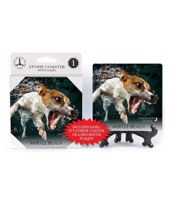 Jack Russell Terrier with mouth wide open, side turn swim-1 pack stone coaster