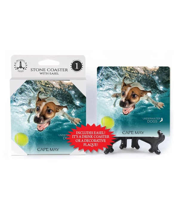 Jack Russell Terrier diving forward toward tennis ball-1 pack stone coaster