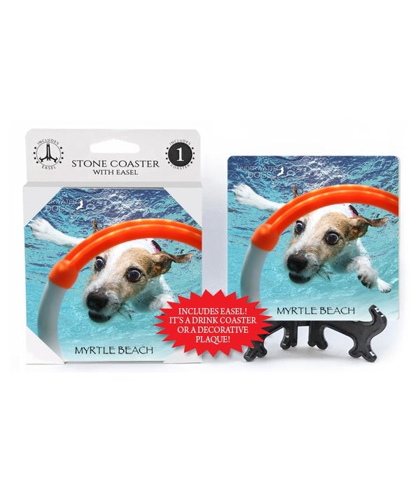 Jack Russell Terrier diving for orange and white ring/hoop-1 pack stone coaster