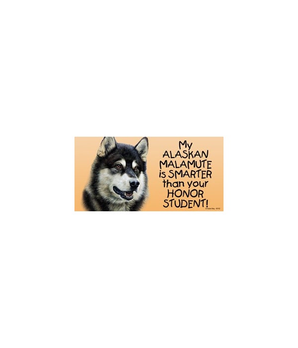 My Alaskan Malamute is smarter than your honor student!- 4x8 Car Magnet