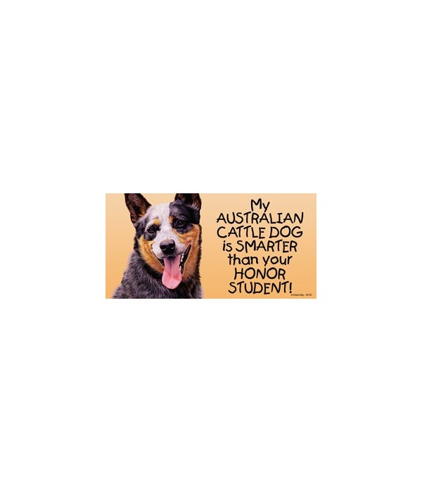 My Australian Cattle Dog is smarter than your honor student!- 4x8 Car Magnet