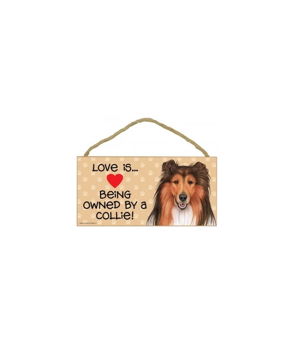 Love is being owned by a Collie 5x10 Sign