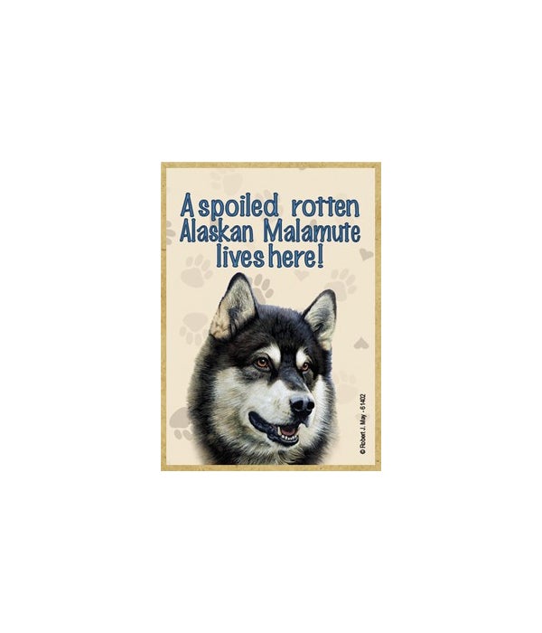 A spoiled rotten Alaskan Malamute lives here!-Wooden Magnet