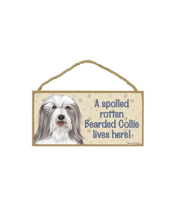 Bearded Collie Spoiled 5x10