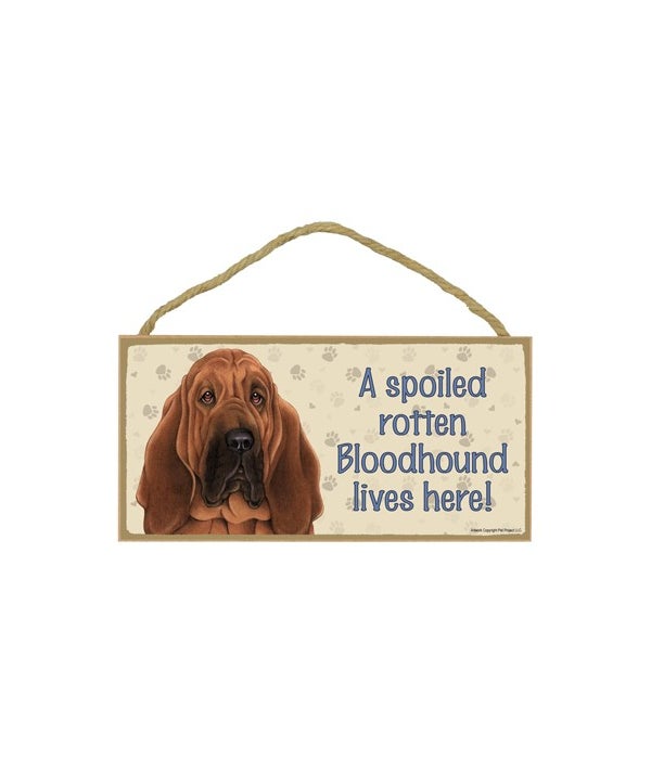 Bloodhound Spoiled 5x10