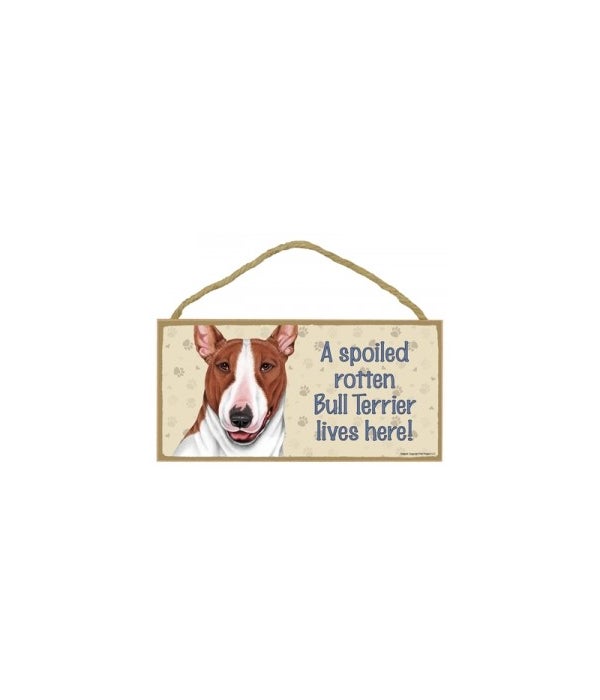 Bull Terrier (Brown and white) Spoiled 5
