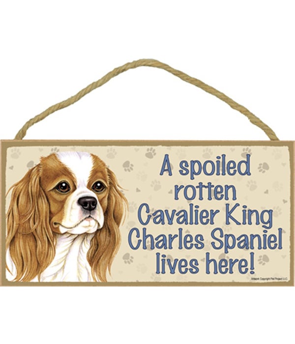 Cavalier King Charles Spaniel Spoiled 5x