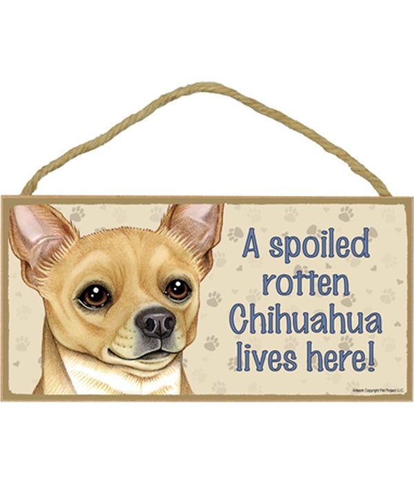 Chihuahua (Tan) Spoiled 5x10