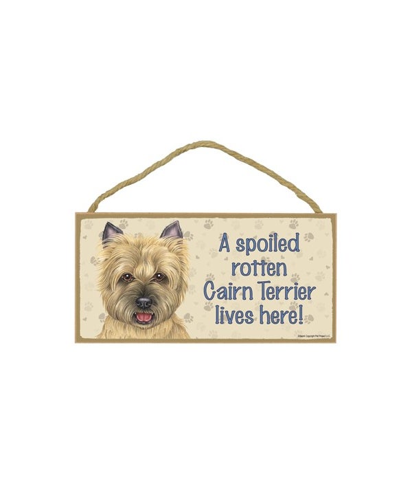 Cairn Terrier (tan) Spoiled 5x10