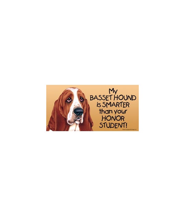 My Basset Hound is smarter than your honor student!- 4x8 Car Magnet
